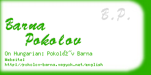 barna pokolov business card